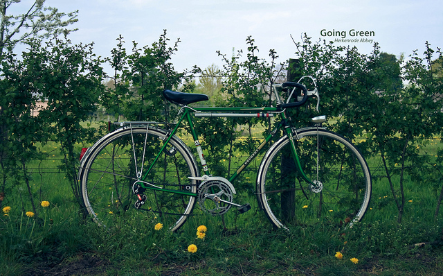 Going green bicycle